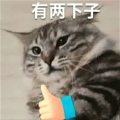 超有意思常用的表情包很特别 爆笑程度满分的表情