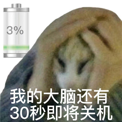 适合自己电量状态表情包 我的大脑30秒即将关机