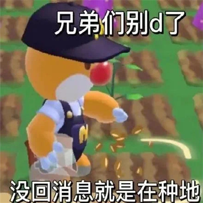 近期爱用又很火的表情包 哈哈哈无所谓啦