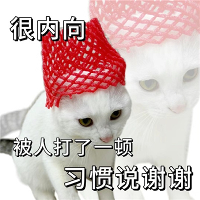 近期爱用又很火的表情包 哈哈哈无所谓啦