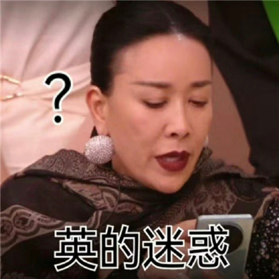 叶赫那拉氏那英表情合集 叶赫那拉氏一出手就知道有没有