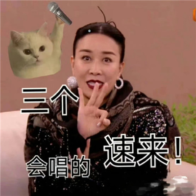 叶赫那拉氏那英表情合集 叶赫那拉氏一出手就知道有没有