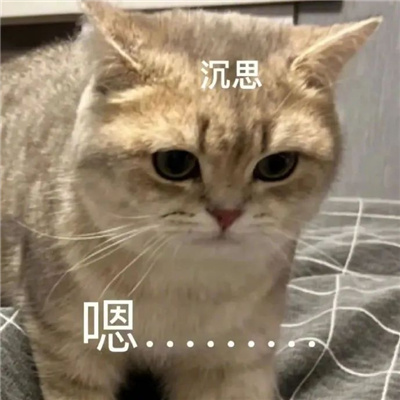 特别贱的好用表情包 装作恍然大悟想让你快点闭嘴