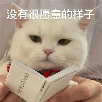 特别贱的好用表情包 装作恍然大悟想让你快点闭嘴