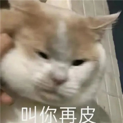 特别贱的好用表情包 装作恍然大悟想让你快点闭嘴