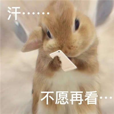 网络恶搞表情大全超开心合集 超级逗比的特色表情合集