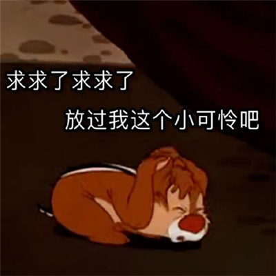 2024很有梗的特色表情 幽默感十足表情大全