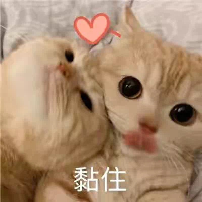 超级好用万能回复表情超快乐 幽默回复的各种表情大全