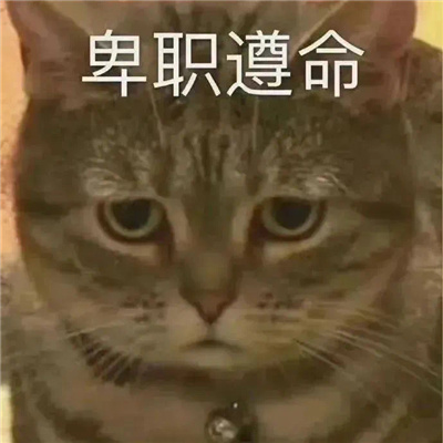 超级好用万能回复表情超快乐 幽默回复的各种表情大全