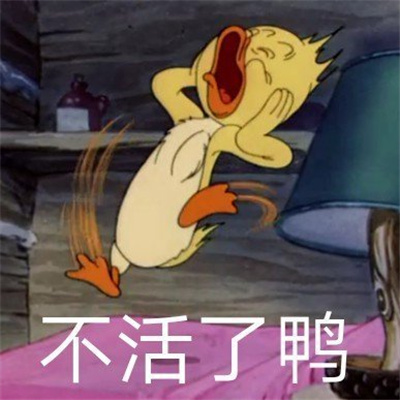 有梗又很幽默笑到窒息的表情 令人爆笑的表情大全