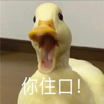 有梗又很幽默笑到窒息的表情 令人爆笑的表情大全