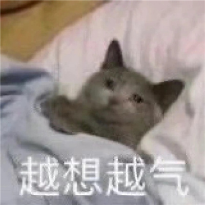 有梗又很幽默笑到窒息的表情 令人爆笑的表情大全