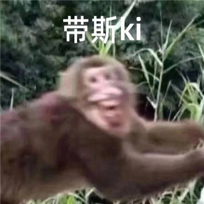 有梗又很幽默笑到窒息的表情 令人爆笑的表情大全