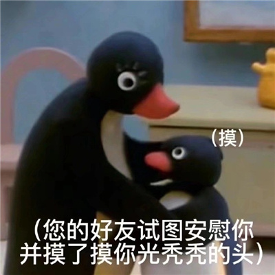 有趣又好玩的沙雕表情 日常很好笑的有趣表情合集