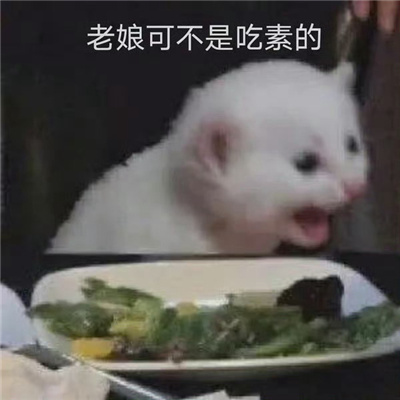 快乐表情每张都会爆笑 申请成为你的表情包