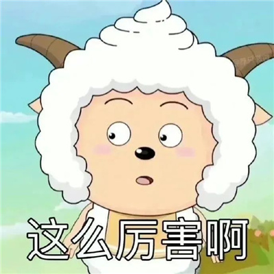 快乐表情每张都会爆笑 申请成为你的表情包