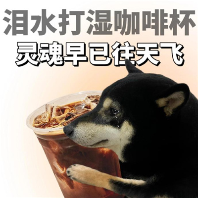 泪水打湿系列表情包 泪水打湿冰淇淋废物已经是定型