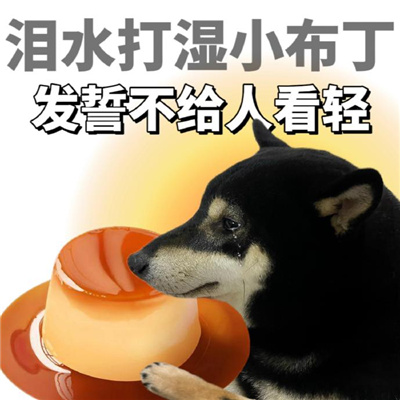 泪水打湿系列表情包 泪水打湿冰淇淋废物已经是定型