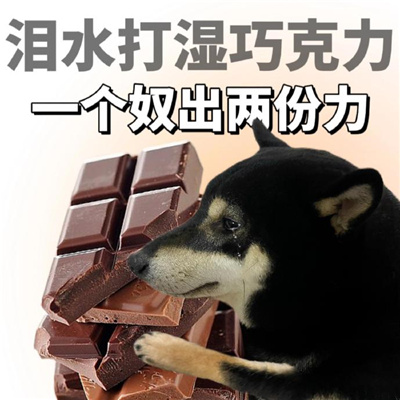 泪水打湿系列表情包 泪水打湿冰淇淋废物已经是定型