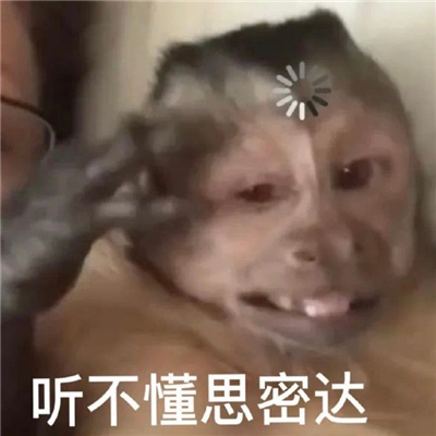 每张都是爆笑系列的表情 你知道的我离不开你