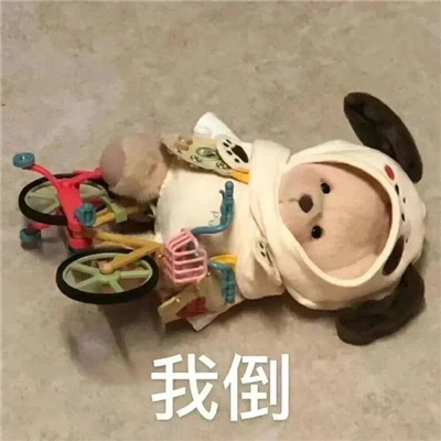 笑到窒息的表情包疯狂大笑 做姐姐的舔狗