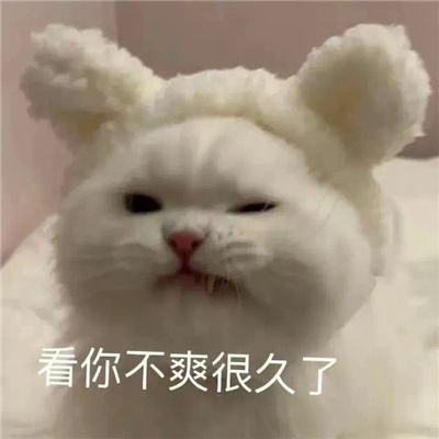 笑到窒息的表情包疯狂大笑 做姐姐的舔狗