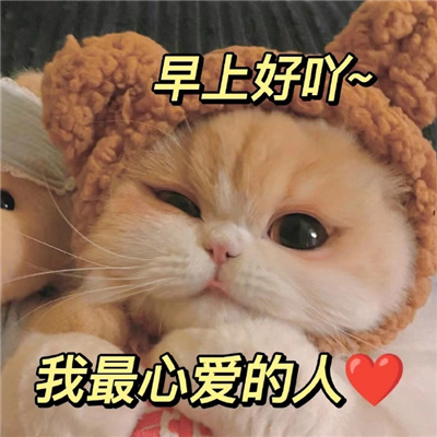 适合早上用的早安表情包 早安正能量温馨表情