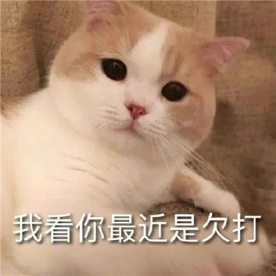 适合早上用的早安表情包 古德莫宁爱瑞旺