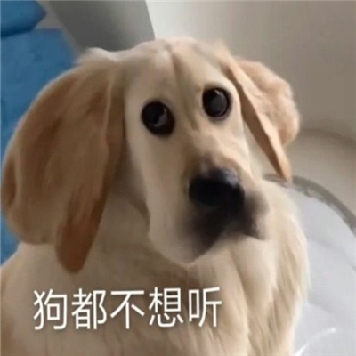 适合早上用的早安表情包 古德莫宁爱瑞旺