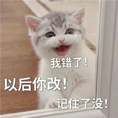 适合早上用的早安表情包 古德莫宁爱瑞旺