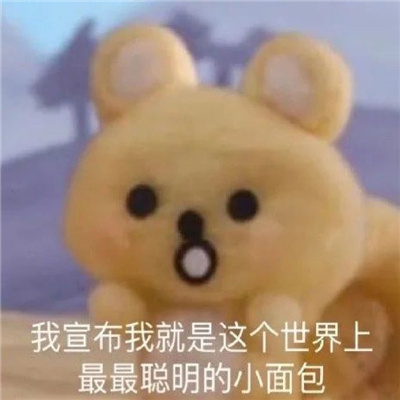 2024让你聊天不缺表情很快乐 美眉你逃不掉了