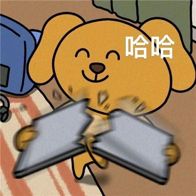 2024快乐聊天好用的表情 你讲话好冷漠