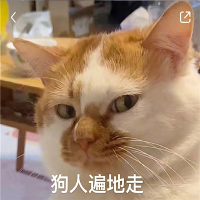 微信聊天表情可爱又超好笑 我确实没什么野心做梦都想发财