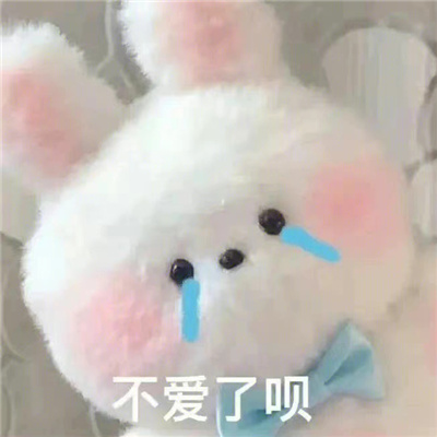 微信聊天表情可爱又超好笑 我确实没什么野心做梦都想发财