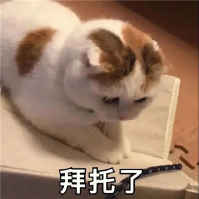 每张都是必存图的好用表情 你们年轻人就是毛躁