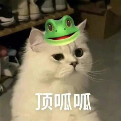 每张都是必存图的好用表情 你们年轻人就是毛躁