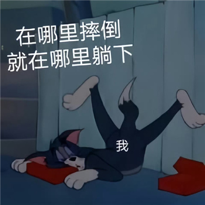 款款都是有趣的表情包 在哪里摔倒就在那里躺下