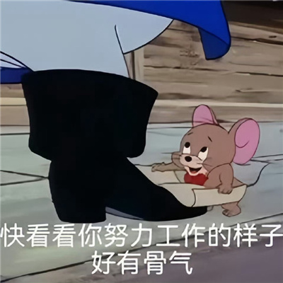 款款都是有趣的表情包 在哪里摔倒就在那里躺下