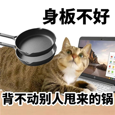 猫猫文字表情包张张可爱 很忙在给可乐吹气什么事
