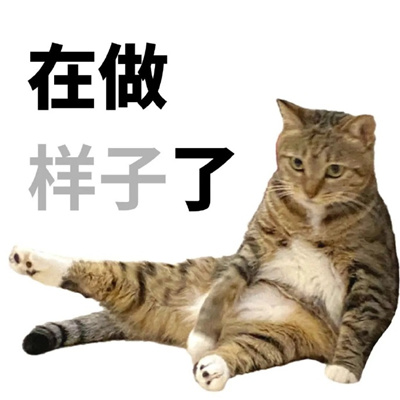 猫猫文字表情包张张可爱 很忙在给可乐吹气什么事