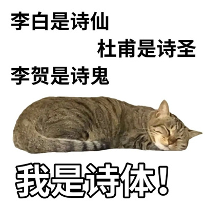 猫猫文字表情包张张可爱 很忙在给可乐吹气什么事