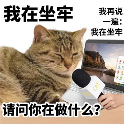 猫猫文字表情包张张可爱 很忙在给可乐吹气什么事