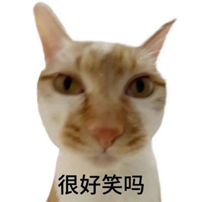 白底小猫表情可爱又搞怪 很好笑吗