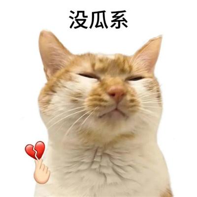 白底小猫表情可爱又搞怪 很好笑吗
