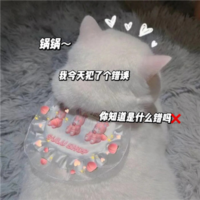发给男朋友的可爱猫咪表情包 有点想你快说你也想我
