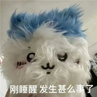 动漫微信搞怪表情最新 二次元的搞怪表情合集