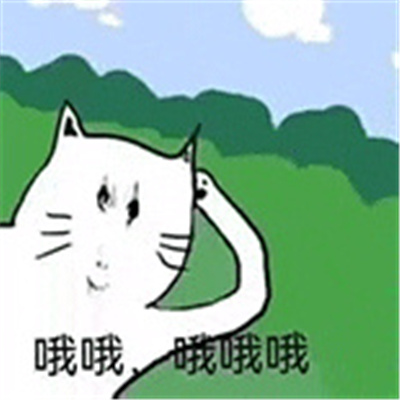 可爱版又爆好笑的表情 求求了找个镜子吧您