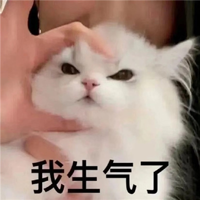 可爱版又爆好笑的表情 求求了找个镜子吧您