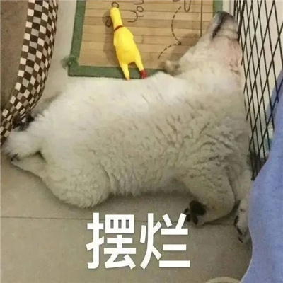 2024最新版摆烂搞怪表情 总有人要当废物那为什么不能是我了