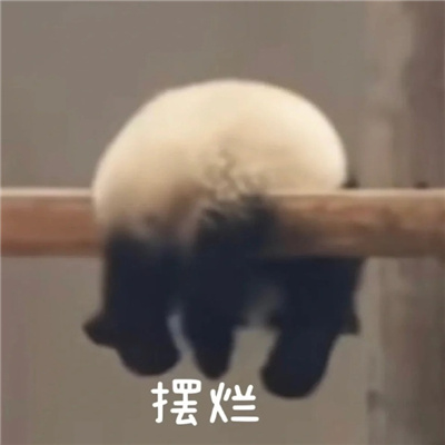 2024最新版摆烂搞怪表情 总有人要当废物那为什么不能是我了